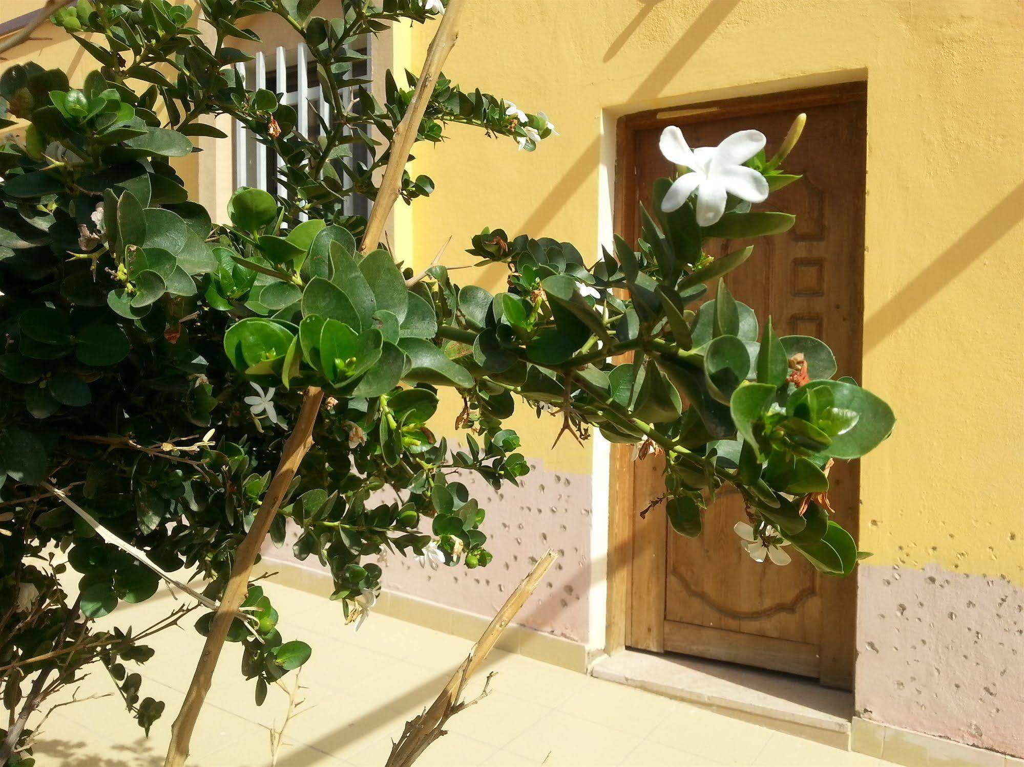 Darna Village Beach Hostel Al Burj Экстерьер фото